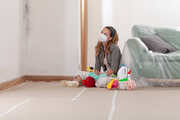 Reliable Black Mold Removal contractor in Cedarville, MI by WQB Mold Removal